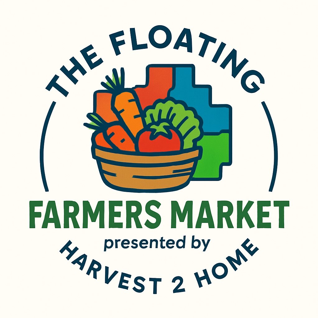 Logo 1